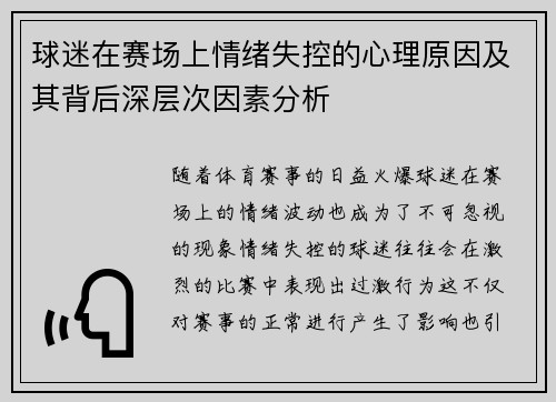 球迷在赛场上情绪失控的心理原因及其背后深层次因素分析